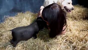 Brown-haired woman in black stockings banging every animal