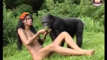 Whores employing a chimpanzee to penetrate their vaginas outdoors