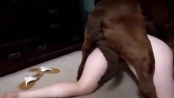 Pasty babe with nice tits getting fucked by a dog