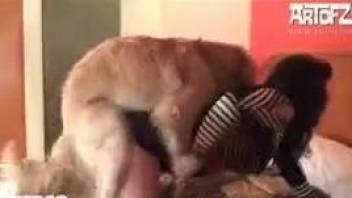 Striped get-up brunette fucking a brown dog on cam