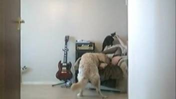 Steamy dog sex footage with a naughty novice girl