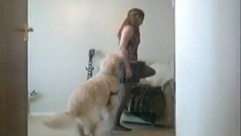 Girl in a skirt gets screwed by her white dog