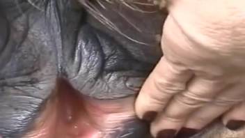 Hot chick tonguing equine vagina in an open-air clip