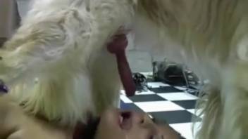 Two sexy chicks alternating with the identical monster