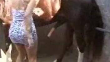 Nude beauty leaves horse to brutally fuck her pussy and ass