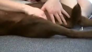 Blonde in red outfit and mask blowing a dog's thick dick