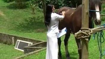 Tanned amateur slut horse fucking in outdoor zoo scenes