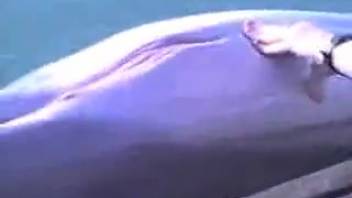 Guy with deft fingers satisfying a creature