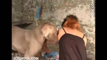 Intense pounding for a cat-masked whore