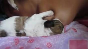 Tiny dog arouses curvy Hispanic woman with pleasurable mouth action
