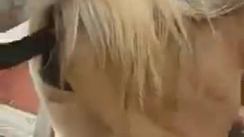 Massive horse dick is set to demolish that cunt