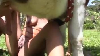 Kinky woman is ready to screw a hot pony on camera