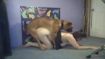 Sexy woman with a huge butt enjoys dominating a canine