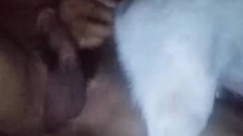 White dude being subdued by a lustful Latina babe