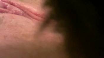Attractive woman shows close-up as the dog licks her pussy