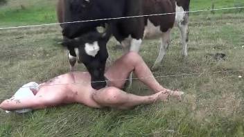 Mature man enjoys the cow licking his dick out in the grass