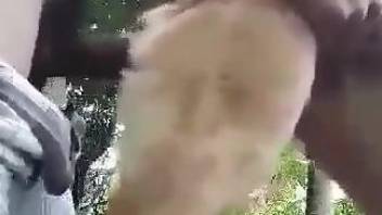 Aroused man fucks his furry dog in a pretty intense cam shag