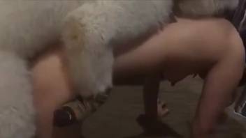 Canine mounts nude female in her vagina and ejaculates inside her