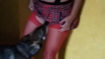 Tall-legged chick in a plaid skirt gets tongued by a pooch