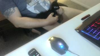 Excited guy begins getting turned on by stroking a feline
