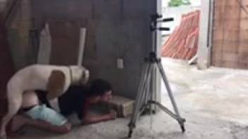 Genuine animal sex ecstasy recorded in a steamy clip
