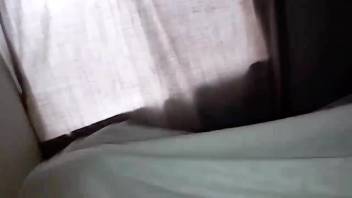 Voluptuous older lady desires some fun with the canine's dick