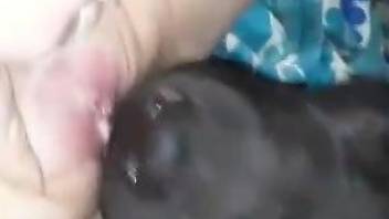 Dog licks woman's wet cunt in ways that seem out of this world