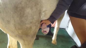Aroused woman senses enormous horse dick across her vagina and rear