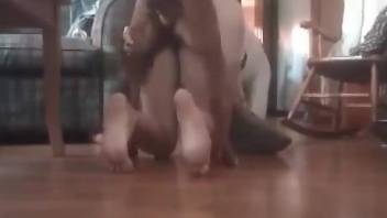 Brown dog pounding that pussy on all fours on the floor