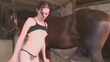 Leggy brunette wants horse cock to ruin her forever