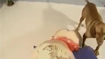 Blond vixen shoves massive canine cock directly into her dripping snatch