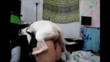 Dog humps curvy ass woman big time and comes in her