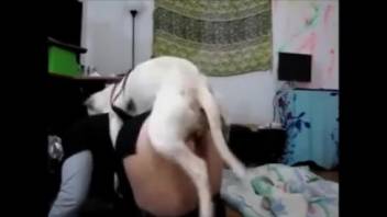 Voluptuous older lady recorded attempting canine penis in doggy position