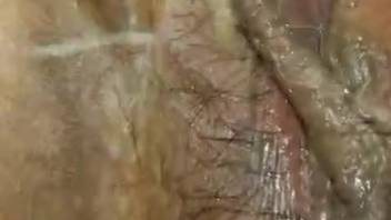 Mature woman senses robust canine penis slamming her swollen vagina