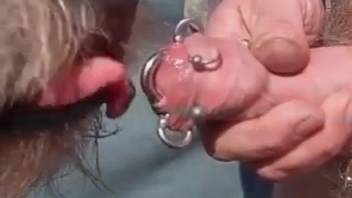 Attractive man employs his pierced dick to satisfy a canine