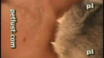 Naughty canines are relishing filthy butt sex with guys