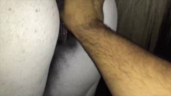 Guy fingers horse's pussy before shoving his cock inside