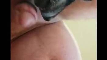 Dog makes man loudly moan for more while ass licking him