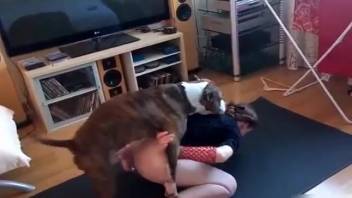 Naughty temptress with a soaked slit gets on hands and knees for anal stretching