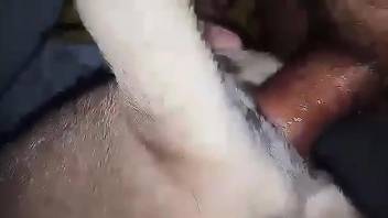 Dude slides his penis in a dog's hole cuz he's slick