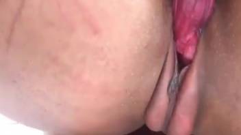 Horny chick loves the thrill of screwing a dog