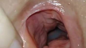 Canine penetrates narrow female's damp pussy until overflowing it with cum