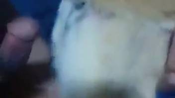 Guy shoving his dick into an animal's narrow opening