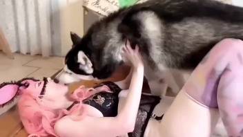 Lively woman having her vagina licked by a mongrel dog
