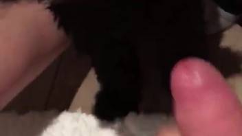 Guy's massive dick is on the verge of being satisfied by a canine
