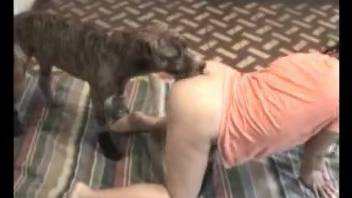 Dirty dog drilling a brunette in an orange top