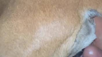 Guy with a smooth-shaven dick is set to bang that opening