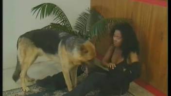 Gorgeous women are indulging in taboo animal encounters with a pony