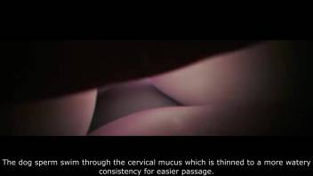 Instructional adult film showcasing attractive beasts
