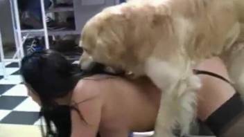 Busty brunette and her blonde friend fucking a dog